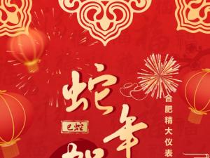合肥精大儀表2025春節表彰暨聯(lián)歡會(huì )：回顧精彩，展望