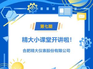 小微系列橢圓齒輪流量計簡(jiǎn)介