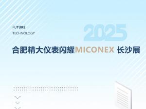 火爆收官！合肥精大儀表閃耀MICONEX長(cháng)沙展